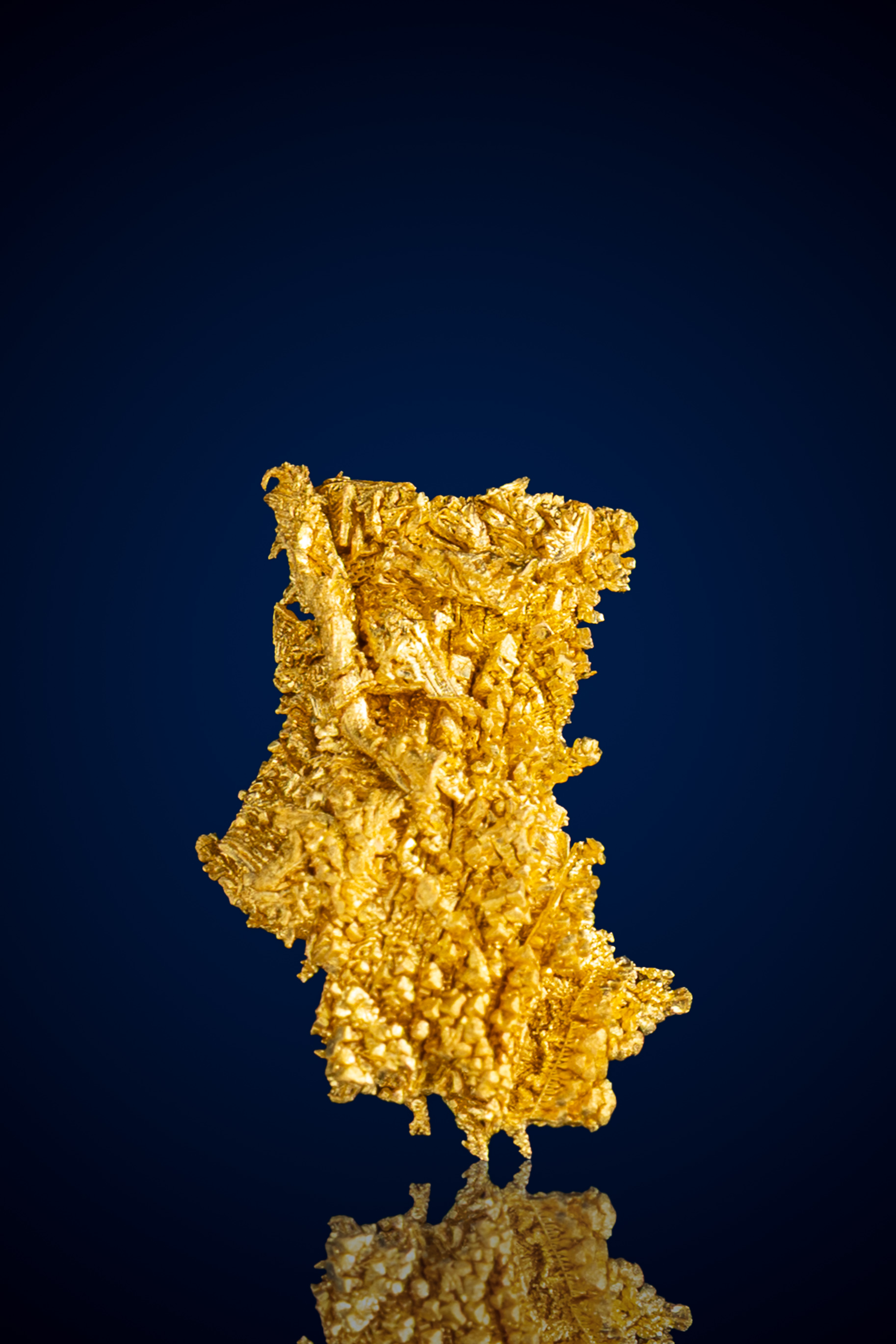 (image for) Jagged, Feathery Crystallized Gold Nugget - Round Mountain, NV - 1.17 grams